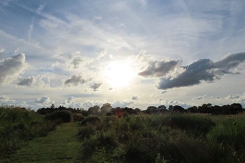 Sunset over Redgrave & Lopham Fen, Breckland